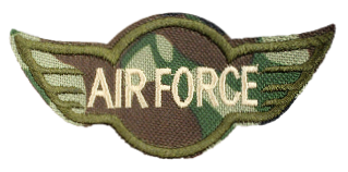 AIR FORCE WINGS